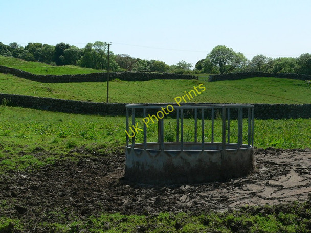 Photo 6"x4" Well used cattle feeder Gatehouse of Fleet c2010