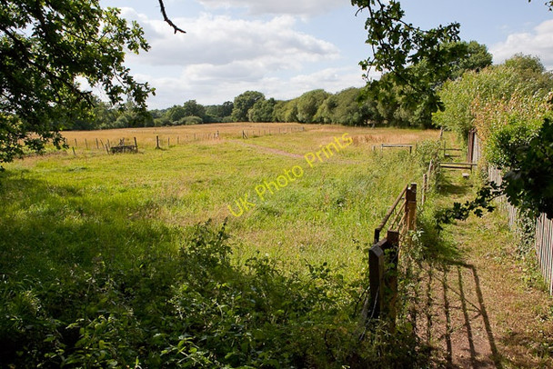 Photo 6"x4" Field and footpath north of Green Lane at Emer Farm Crampmoor c2010