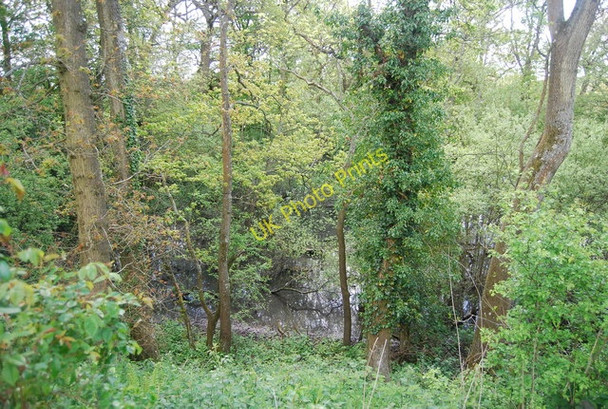Photo 6"x4" Wooded pond near Hammond's Farm Scayne's Hill c2010