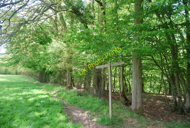 Photo 6"x4" Sussex Border Path follows the edge of the woodland Red House Common c2010