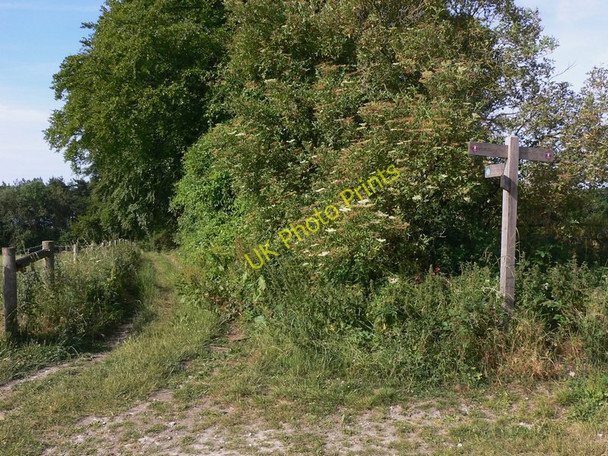 Photo 6"x4" Bridleway off the South Downs Way Bepton c2010