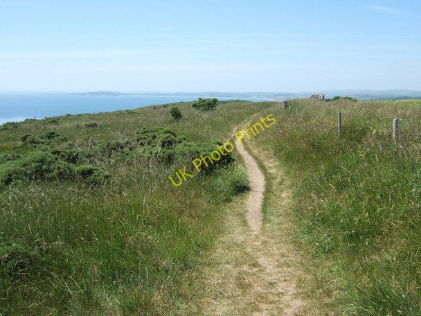 Photo 6"x4" South West Coast Path in The Warren (looking west) Chaldon Herring or East Chaldon c2010