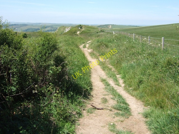 Photo 6"x4" South West Coast Path west of White Nothe Chaldon Herring or East Chaldon c2010