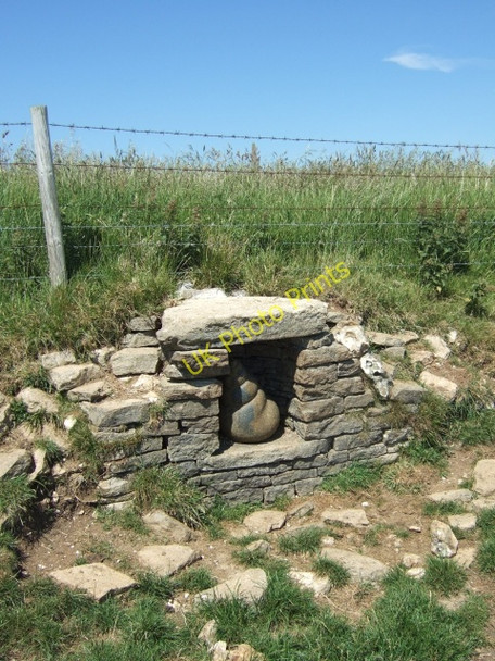 Photo 6"x4" Shell by Peter Randall-Page Chaldon Herring or East Chaldon c2010