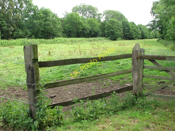 Photo 6"x4" Pasture beside the railway line, North Cove North Cove c2010