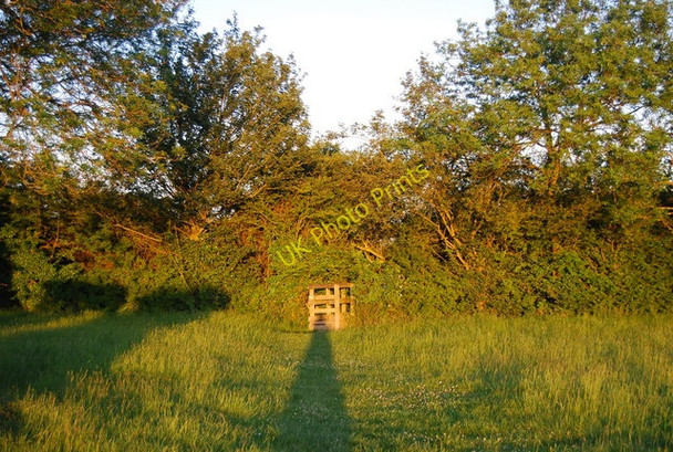 Photo 6"x4" Stile in a hedge Tonbridge c2010