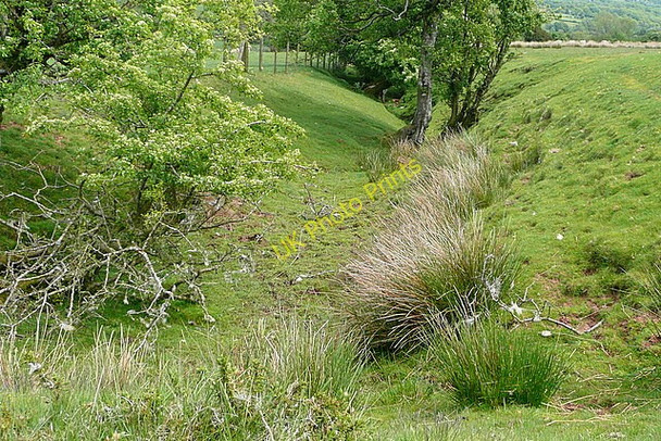 Photo 6"x4" Ditch on Cefn Hill Craswall\/SO2835 c2010