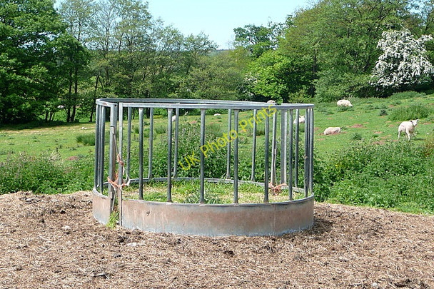 Photo 6"x4" Feeder at Court Farm Craswall\/SO2835 c2010