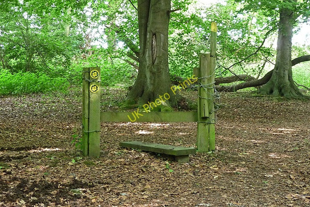 Photo 6"x4" Redundant stile, Downe Downe\/TQ4361 c2010