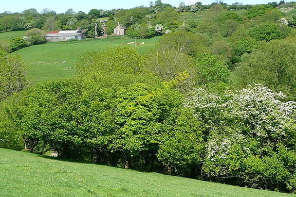 Photo 6"x4" Towards Court Farm Craswall\/SO2835 c2010