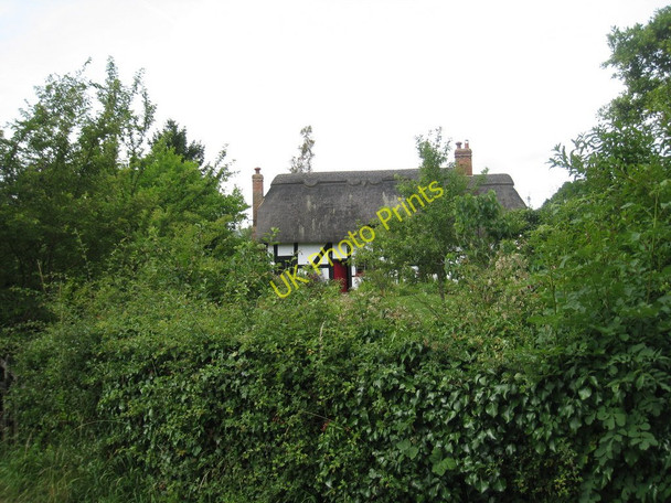 Photo 6"x4" Canons, near Tibberton Taynton\/SO7321 c2010