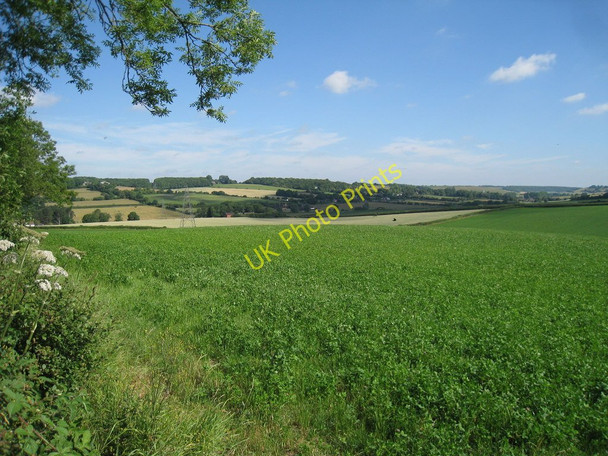Photo 6"x4" Crop Field off Shuttlesfield Lane Lyminge c2010