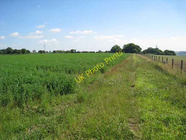 Photo 6"x4" Crop Field off Chapel Lane Elham c2010