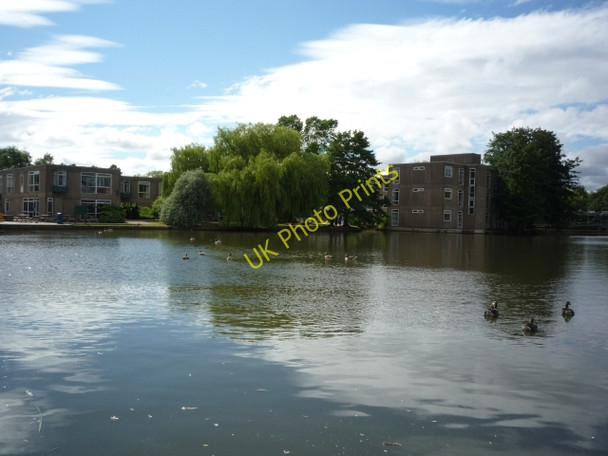 Photo 6"x4" Old Goodricke Heslington c2010