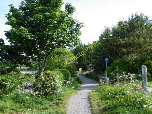 Photo 6"x4" Cycle path at Lunderston Bay Inverkip c2010