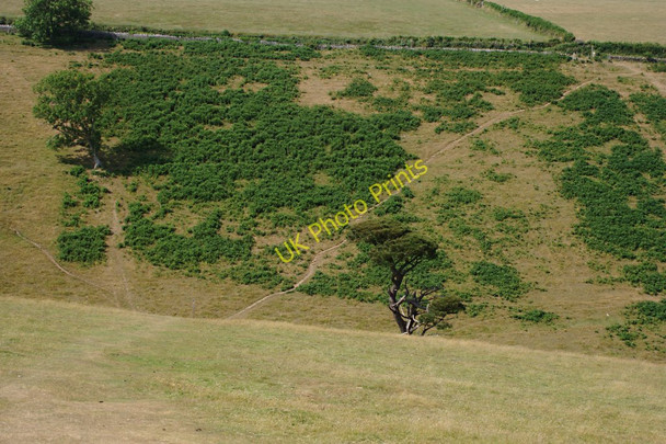 Photo 6"x4" A Very Steep Coombe on the Coast Path Blackpool\/SX8547 c2010