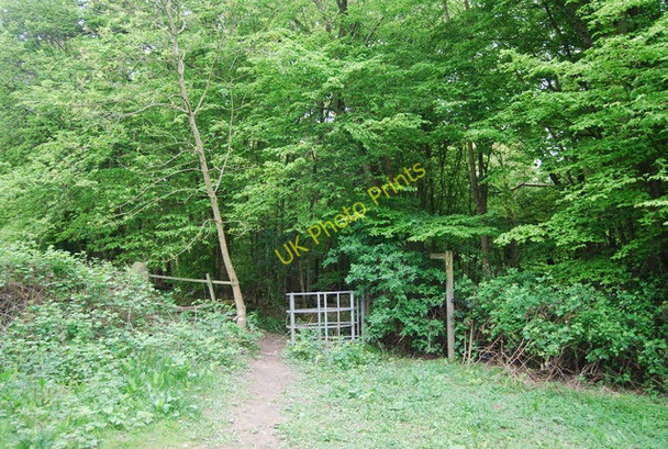 Photo 6"x4" Footpath entering Leamland Wood Cinder Hill\/TQ3729 c2010