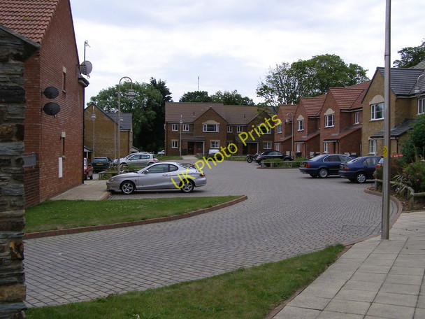 Photo 6"x4" Sycamore Grove Douglas\/SC3875 c2010