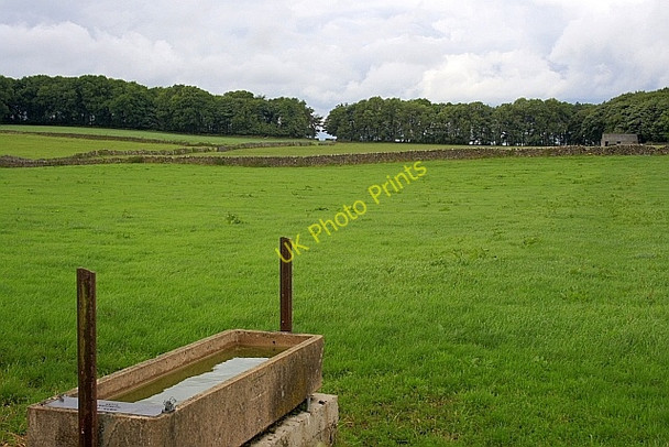 Photo 6"x4" Cattle Trough Pikehall c2010