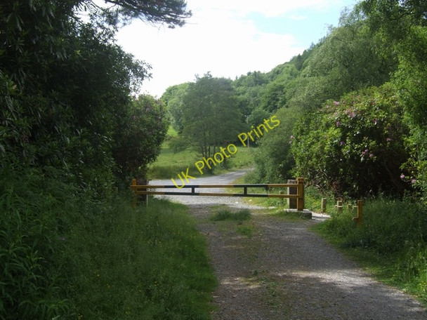 Photo 6"x4" The path from Deer Park Court Tomb Calry c2010