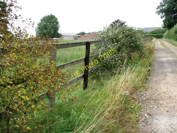 Photo 6"x4" Approaching Great Palgrave Farm on the Peddars Way Swaffham c2010