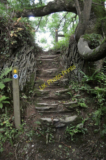 Photo 6"x4" The footpath leaves the bridleway Ossaborough c2010