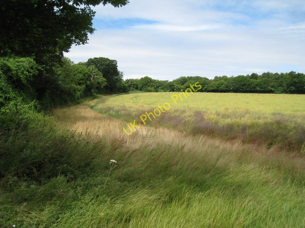 Photo 6"x4" Crop Field off Nethersole Road Frogham\/TR2550 c2010