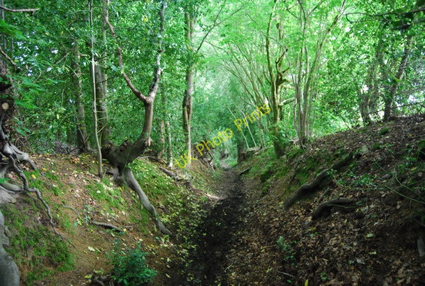 Photo 6"x4" Sunken footpath to Kettleshill Underriver c2010
