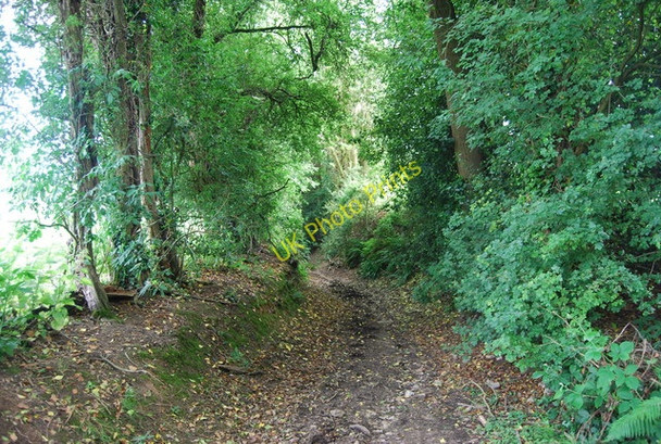 Photo 6"x4" Footpath north of Kettleshill Underriver c2010