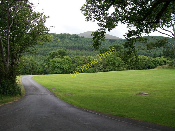 Photo 6"x4" Parkland of Tollymore Park Newcastle\/J3732 c2010