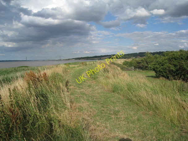 Photo 6"x4" Humber Bank South Ferriby c2010