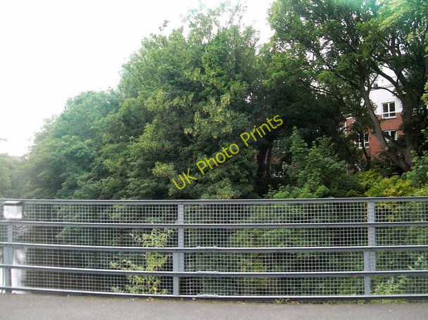 Photo 6"x4" Crossing the River Dodder Sandymount c2010