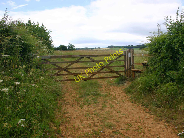 Photo 6"x4" Footpath to Foxcote Great Coppice Nebsworth c2010