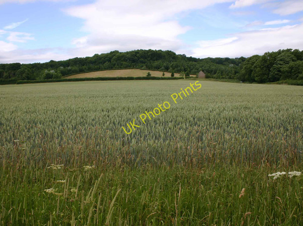 Photo 6"x4" Redlands Barn and Windmill Hill Nebsworth c2010