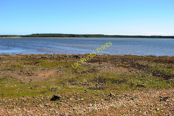 Photo 6"x4" Beach at Loch Fleet Skelbo c2010