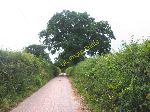 Photo 6"x4" Weaver Lane Norman's Green c2010