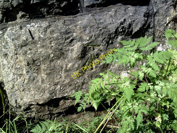 Photo 6"x4" Benchmark on Appersett Viaduct Appersett c2010