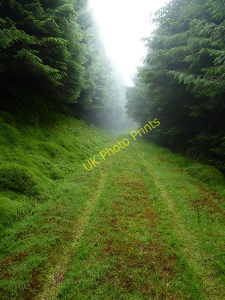 Photo 6"x4" Downhill from the track end Abergynolwyn c2010