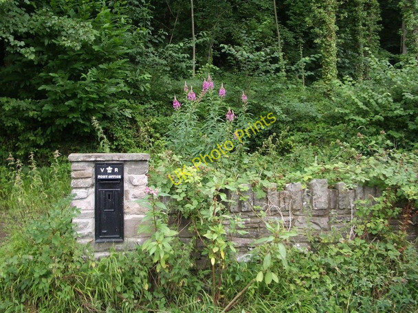 Photo 6"x4" Victorian Letterbox on the edge of woodland, Penmyarth Tretower c2010