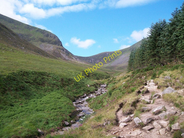 Photo 6"x4" The Glen River Path Newcastle\/J3732 c2010