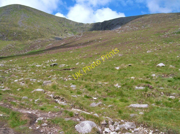 Photo 6"x4" View upslope towards the Pot of Pulgarve Newcastle\/J3732 c2010