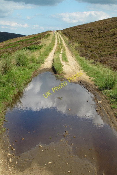 Photo 6"x4" The Hornby Road Croasdale Brook\/SD6757 c2010