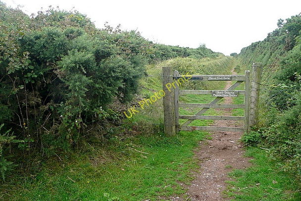 Photo 6"x4" Towards Selworthy Beacon Bratton\/SS9446 c2010