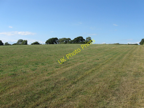 Photo 6"x4" Six Acres Alciston c2010