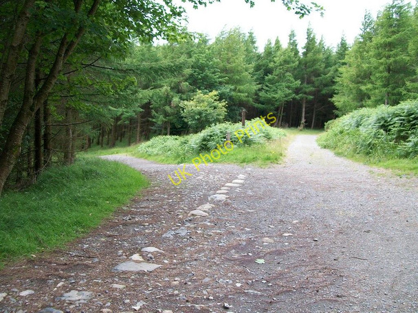 Photo 6"x4" Track junction at the col between The Drinns and Curraghard Newcastle\/J3732 c2010