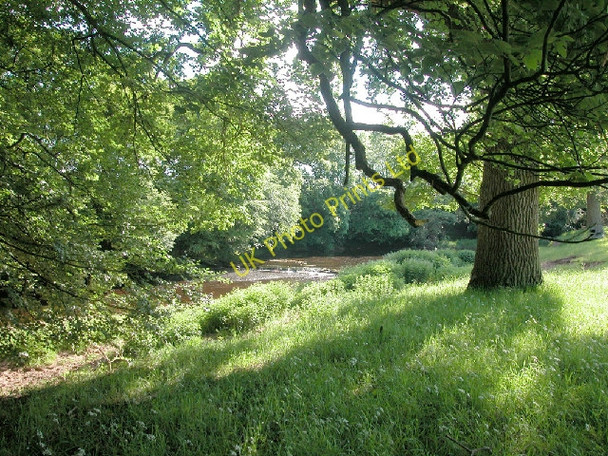Photo 6"x4" River Lyne Kirklinton c2005