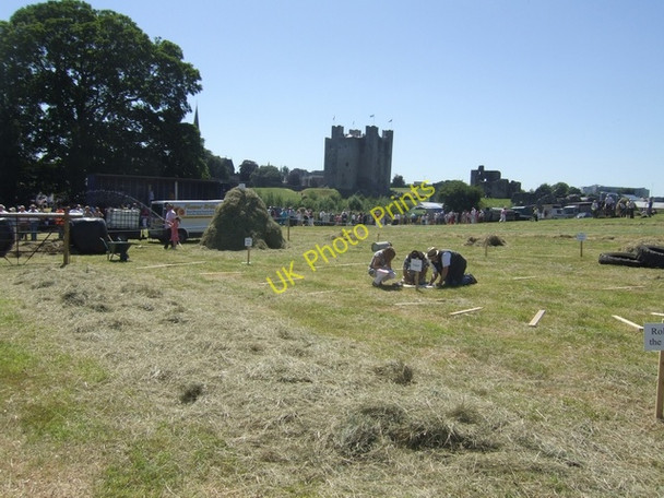 Photo 6"x4" Judging in the hay meadow at Trim Trim c2010