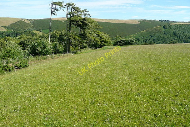 Photo 6"x4" Bridleway above Oare Oare\/SS8047 c2010