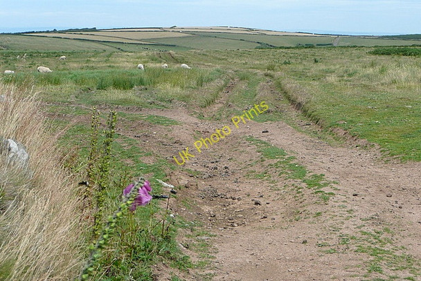 Photo 6"x4" Moorland at Southern Ball Malmsmead c2010