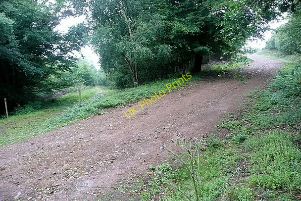 Photo 6"x4" Wootton Common Cowbridge\/SS9542 c2010